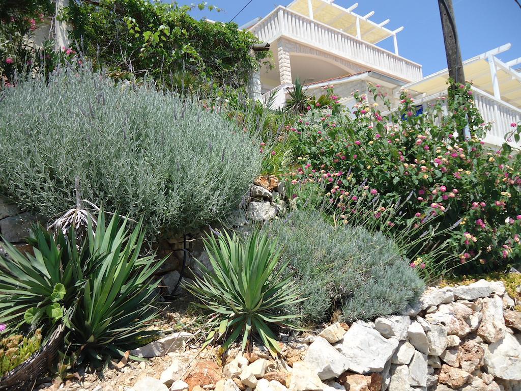 Island Apartman